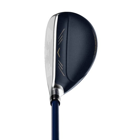 Hibrido XXIO 12