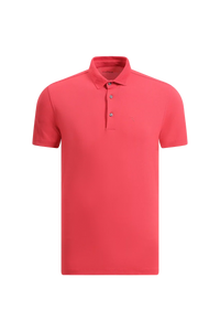 Polo Chervo Academic
