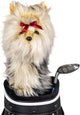 Funda Drive Daphne Yorkshire Terrier