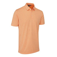 Polo Ping Halcyon