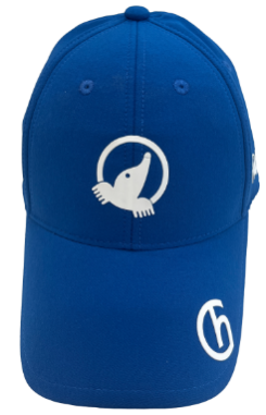 Gorra Honma Logo