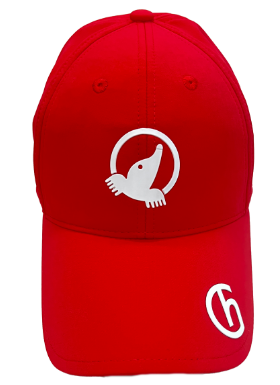Gorra Honma Logo