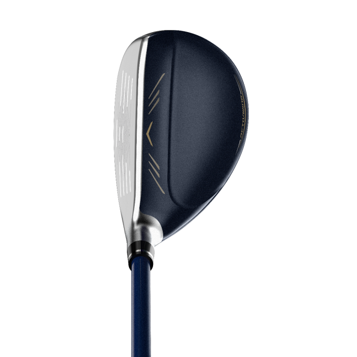 Hibrido XXIO 12