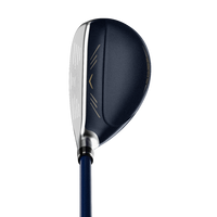Hibrido XXIO 12